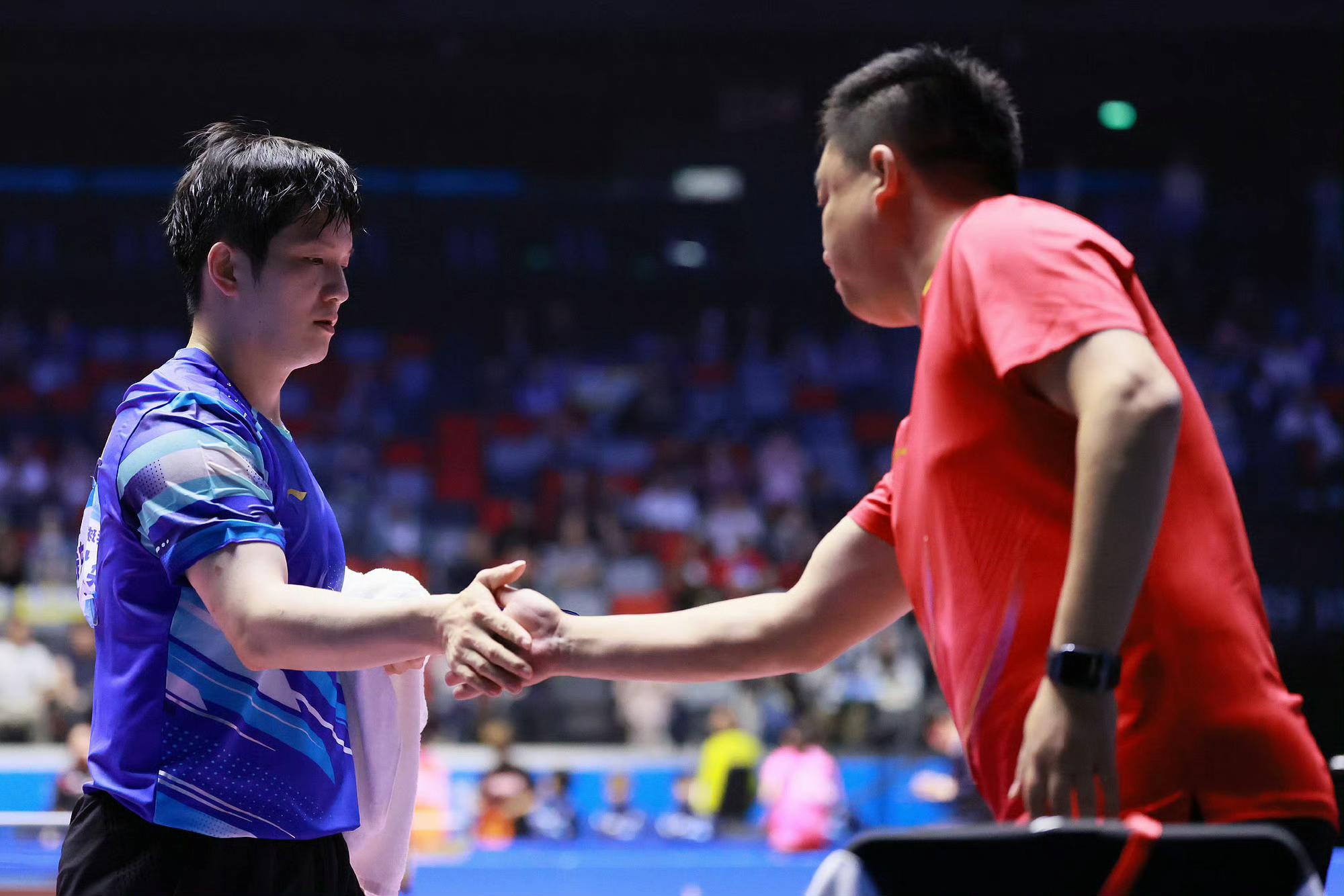 雷速体育直播入口-葡萄牙队绝杀瑞典队，樊振东扛起全队