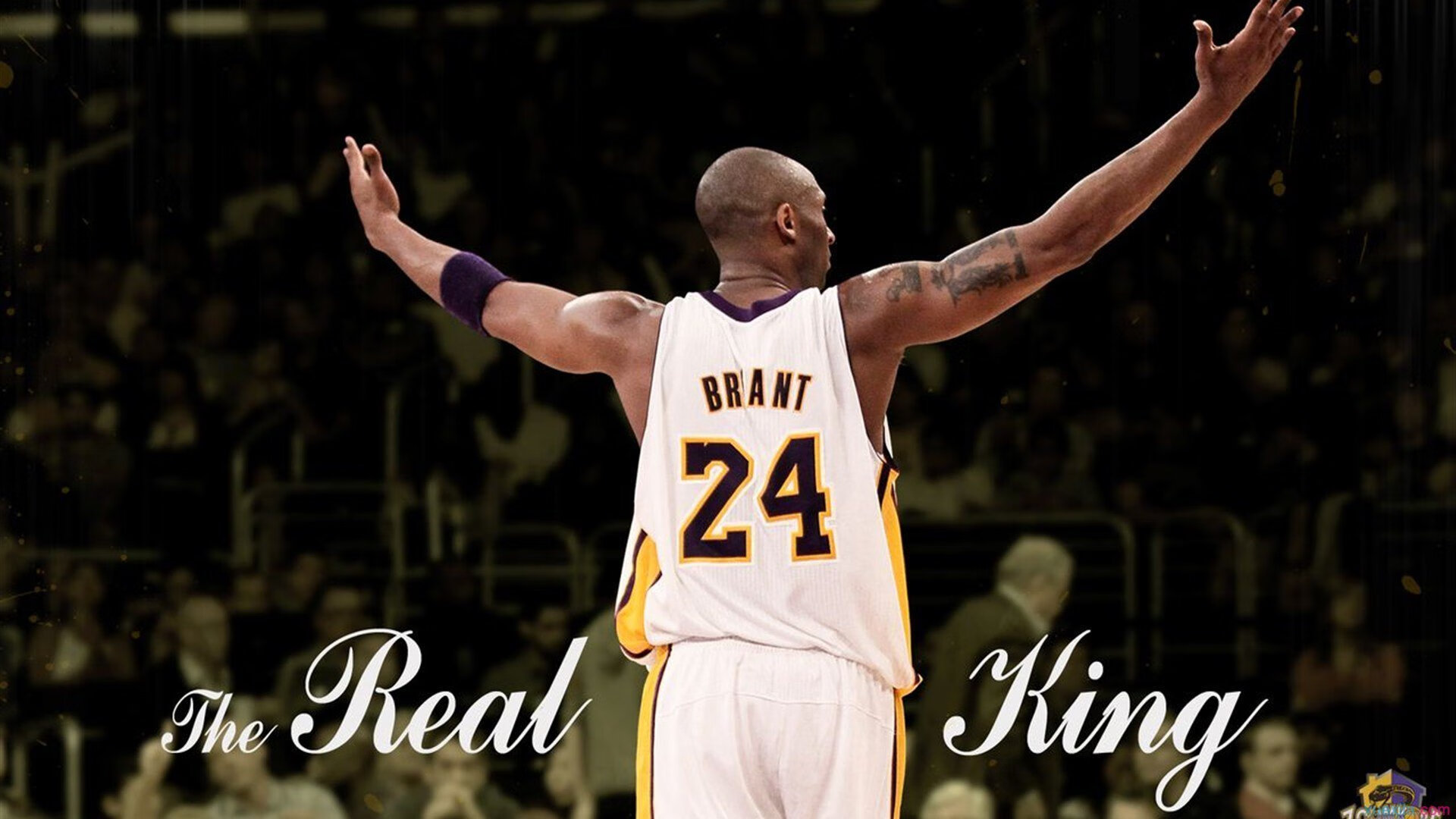 当足球巨星照亮NBA之夜，厄德高跨界成为全场焦点的非凡时刻