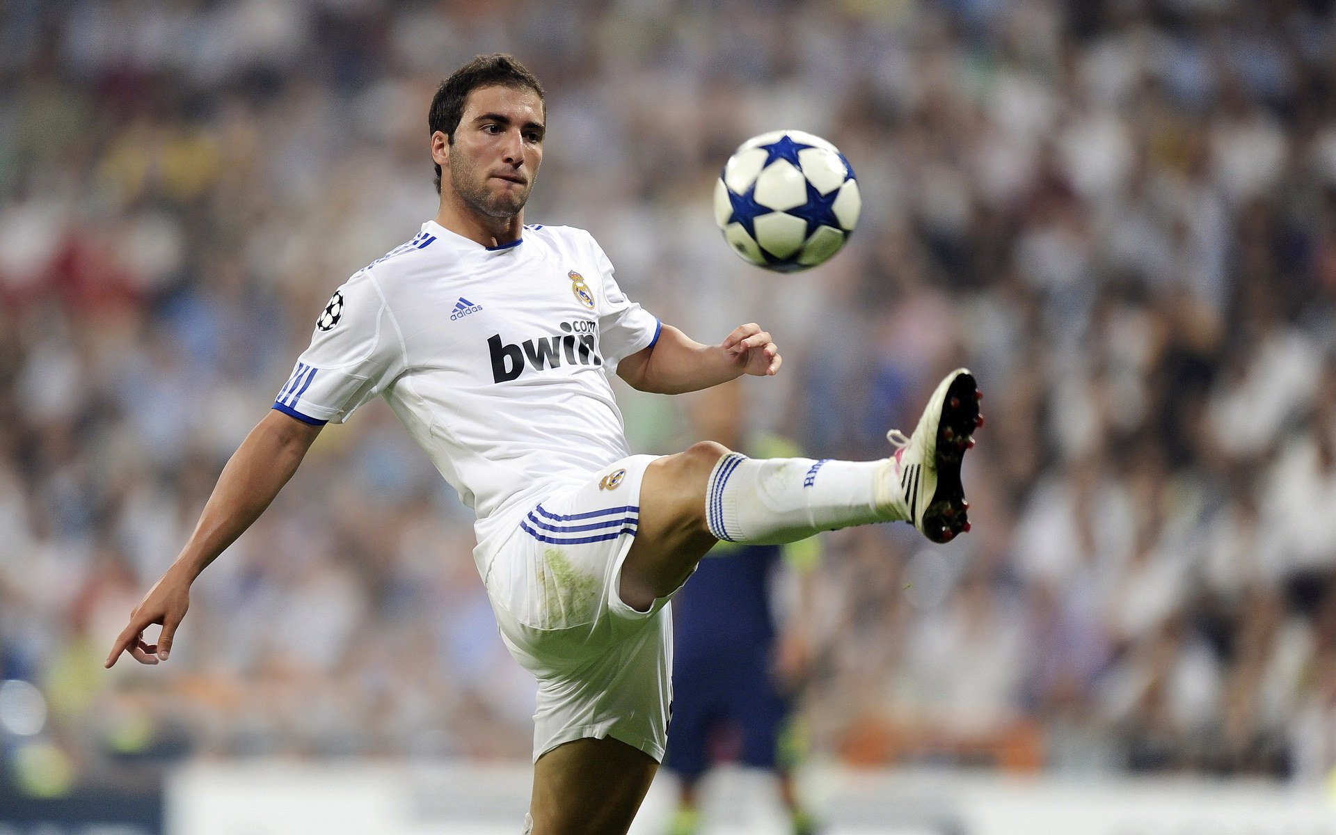 从公牛到绿军，逆转精神的传承与塔图姆的赛场火炬